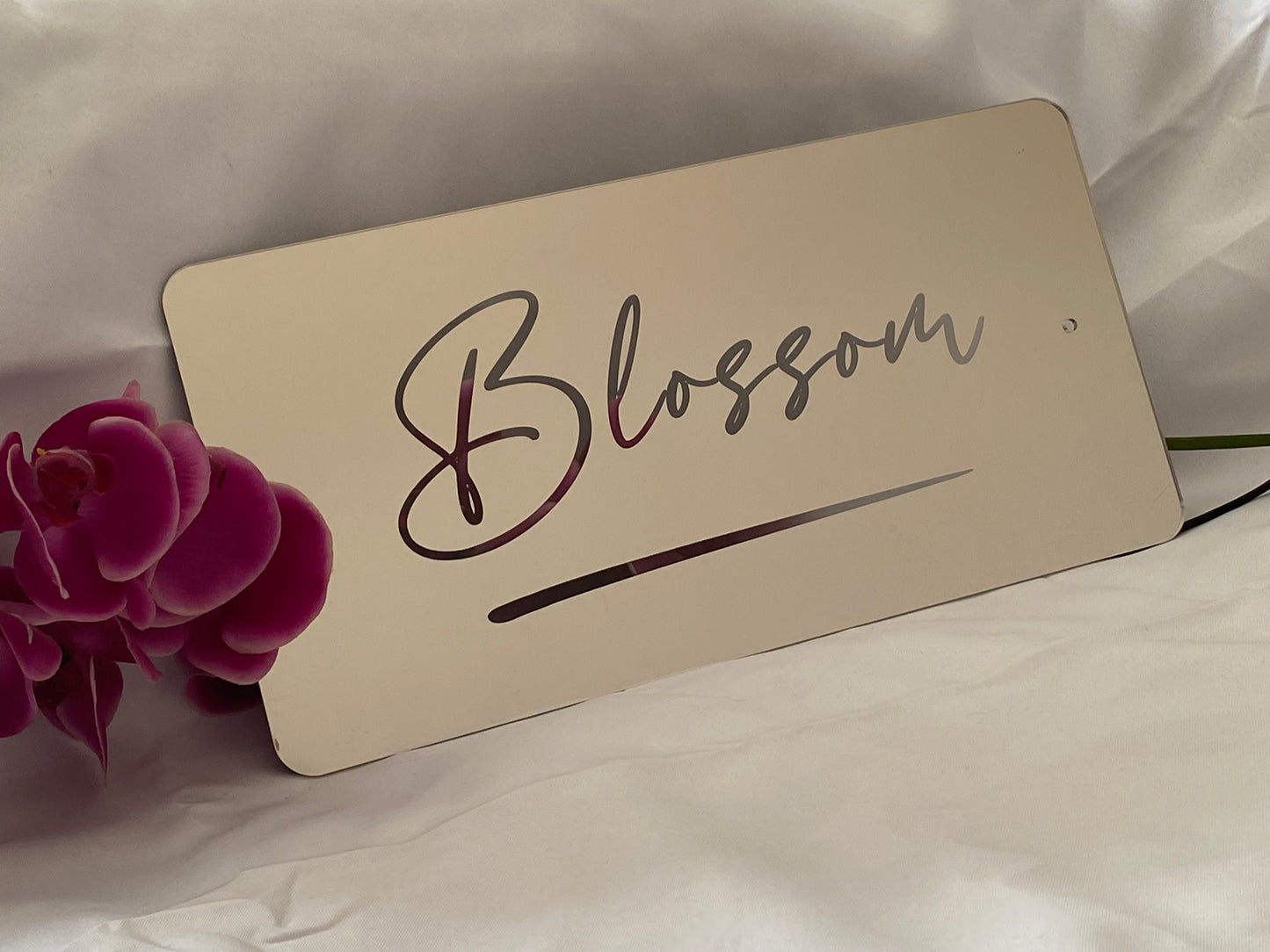 Custom LED Mirror Sign