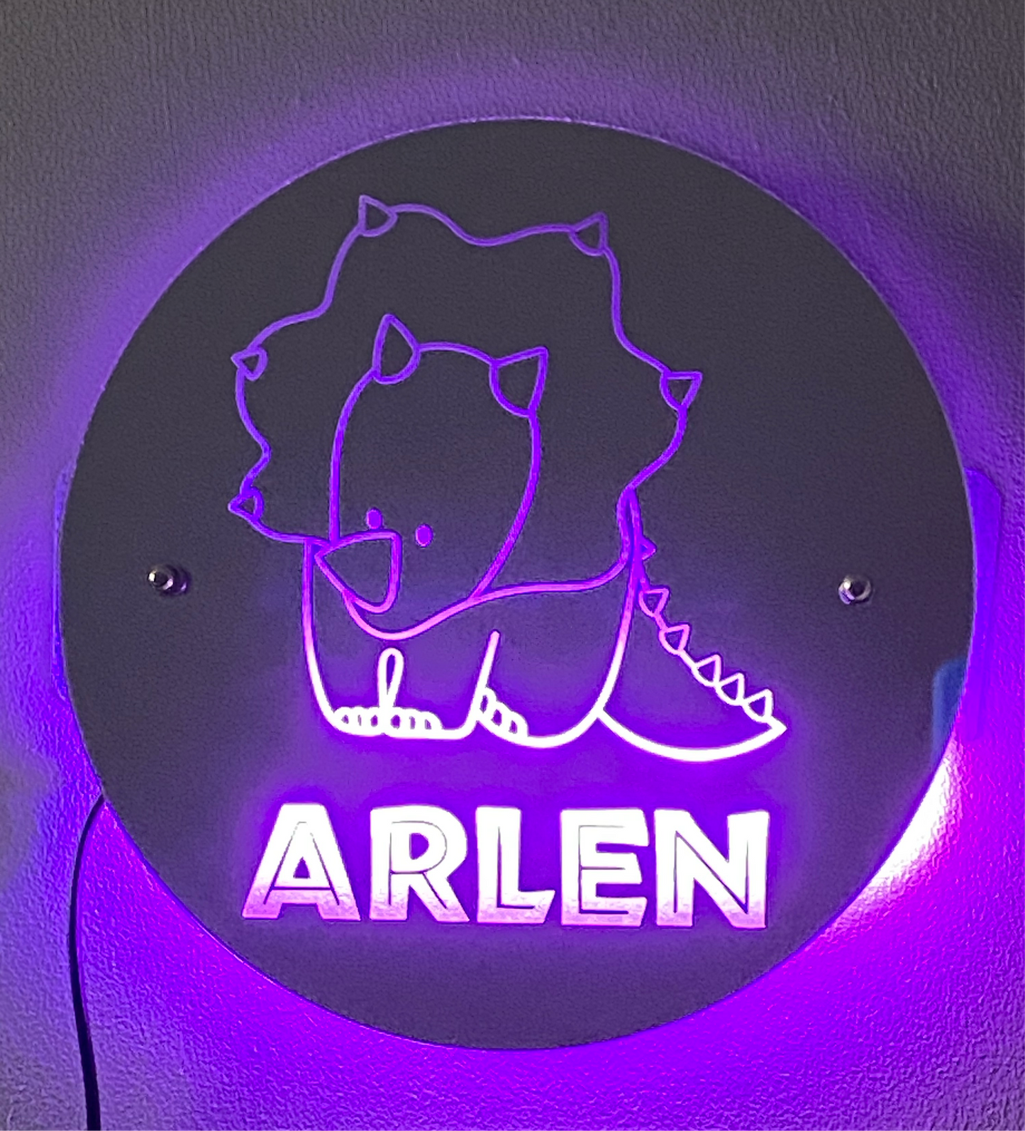 Custom Dinsosaur Mirror Sign