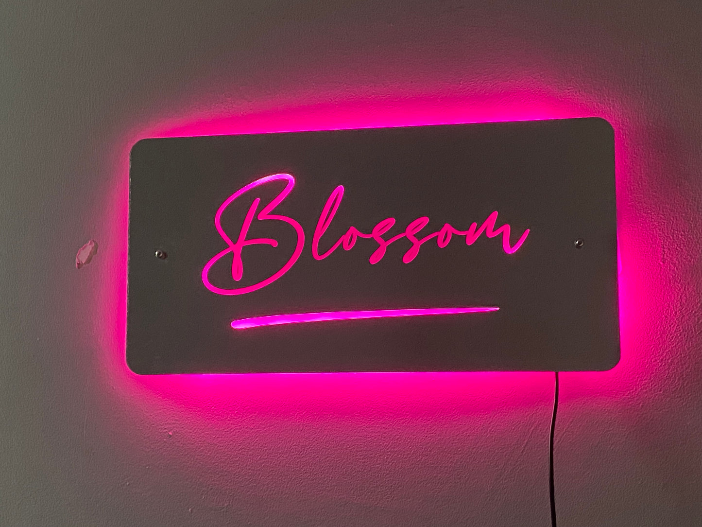 Custom LED Mirror Sign