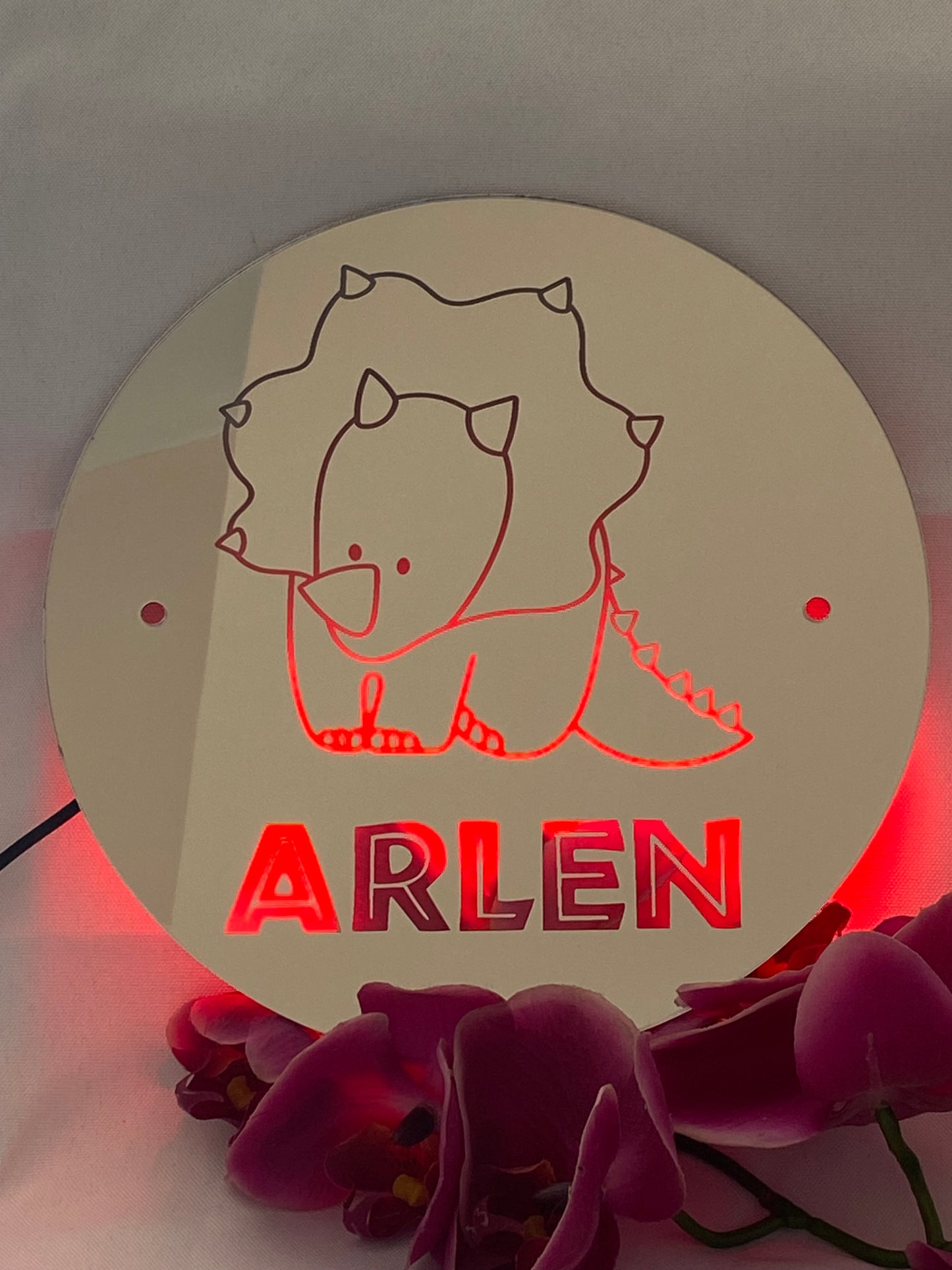 Custom Dinsosaur Mirror Sign