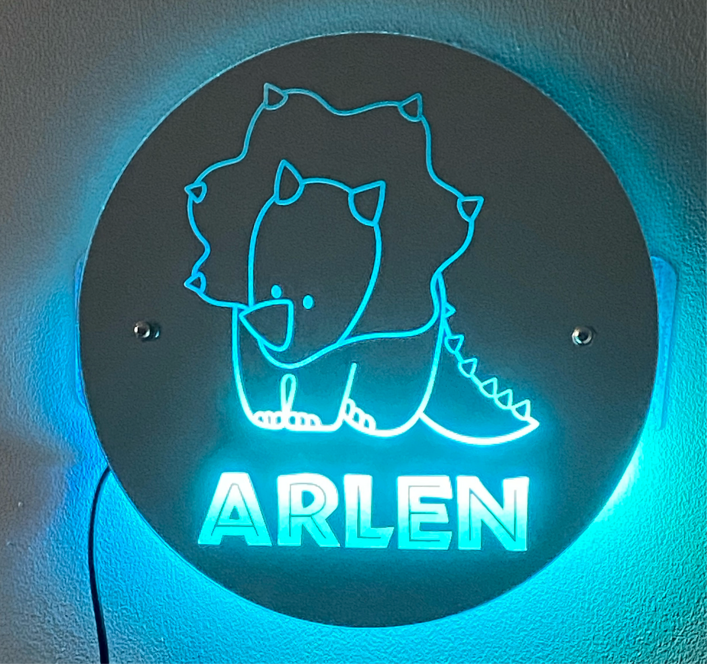 Custom Dinsosaur Mirror Sign