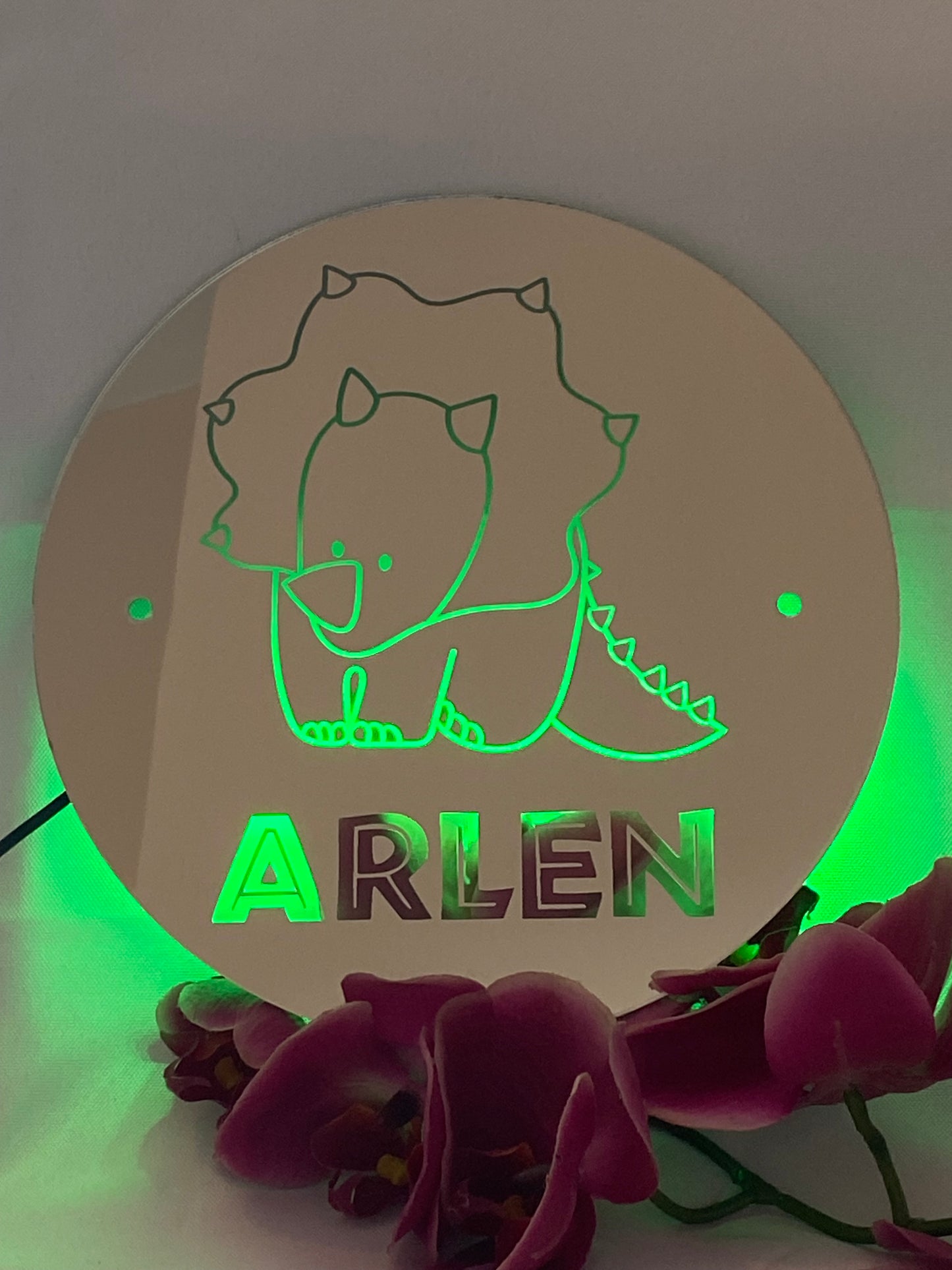 Custom Dinsosaur Mirror Sign